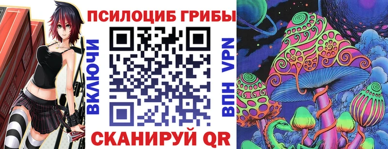 Псилоцибиновые грибы ЛСД  где продают наркотики  Дальнегорск 
